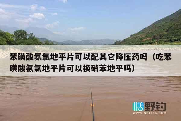 苯磺酸氨氯地平片可以配其它降压药吗（吃苯磺酸氨氯地平片可以换硝苯地平吗）