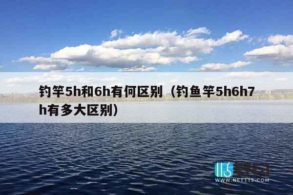 钓竿5h和6h有何区别（钓鱼竿5h6h7h有多大区别）