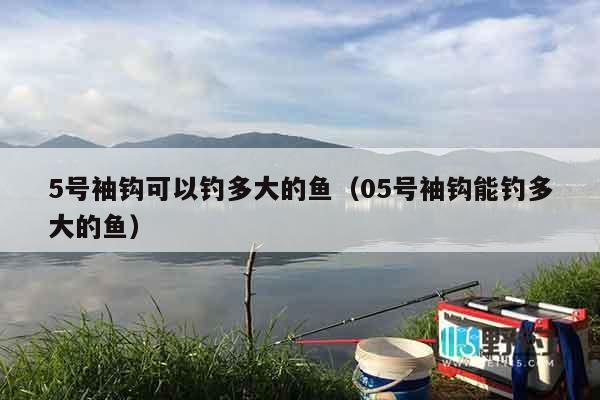 5号袖钩可以钓多大的鱼（05号袖钩能钓多大的鱼）