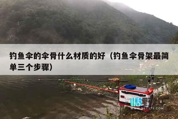 钓鱼伞的伞骨什么材质的好（钓鱼伞骨架最简单三个步骤）