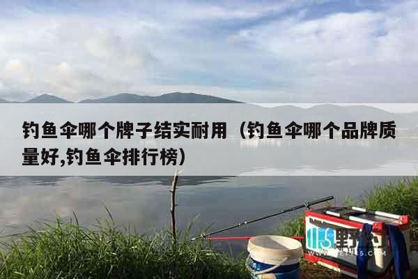 钓鱼伞哪个牌子结实耐用（钓鱼伞哪个品牌质量好,钓鱼伞排行榜）