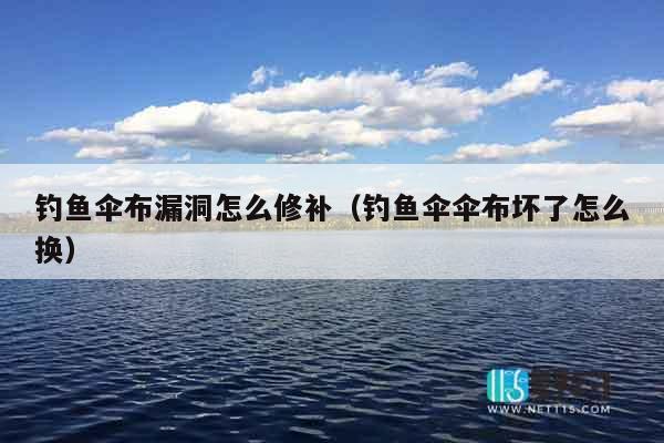 钓鱼伞布漏洞怎么修补（钓鱼伞伞布坏了怎么换）