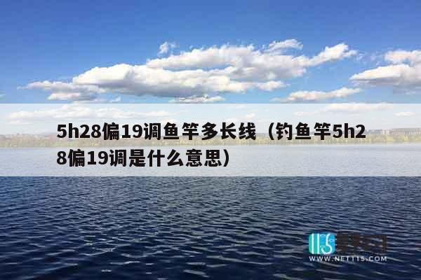 5h28偏19调鱼竿多长线（钓鱼竿5h28偏19调是什么意思）