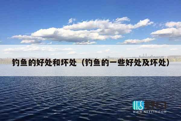 钓鱼的好处和坏处（钓鱼的一些好处及坏处）