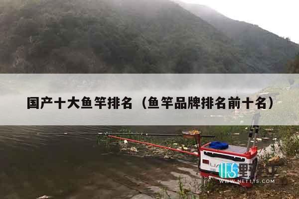 国产十大鱼竿排名（鱼竿品牌排名前十名）
