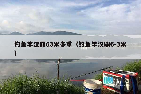 钓鱼竿汉鼎63米多重（钓鱼竿汉鼎6-3米）