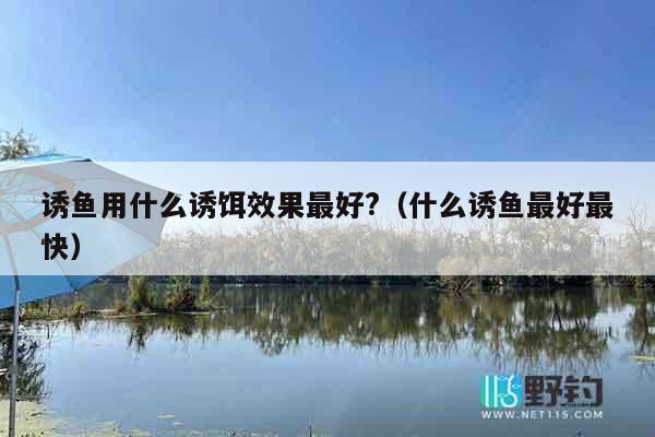 诱鱼用什么诱饵效果最好?（什么诱鱼最好最快）