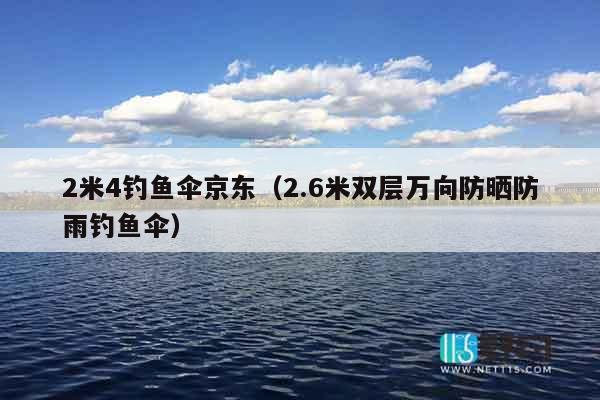 2米4钓鱼伞京东（2.6米双层万向防晒防雨钓鱼伞）