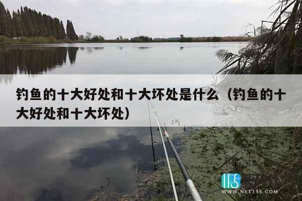 钓鱼的十大好处和十大坏处是什么（钓鱼的十大好处和十大坏处）