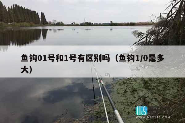 鱼钩01号和1号有区别吗（鱼钩1/0是多大）
