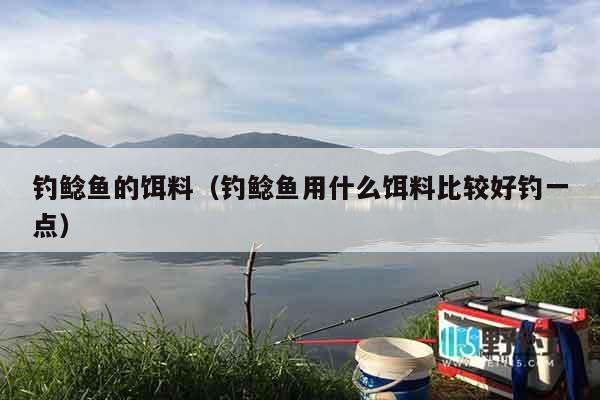 钓鲶鱼的饵料（钓鲶鱼用什么饵料比较好钓一点）