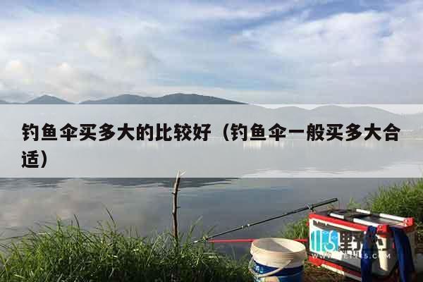 钓鱼伞买多大的比较好（钓鱼伞一般买多大合适）