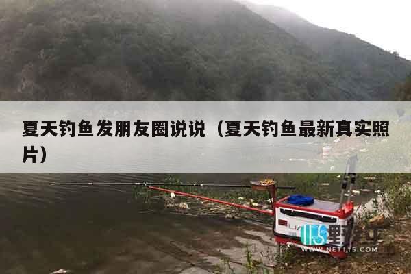 夏天钓鱼发朋友圈说说（夏天钓鱼最新真实照片）