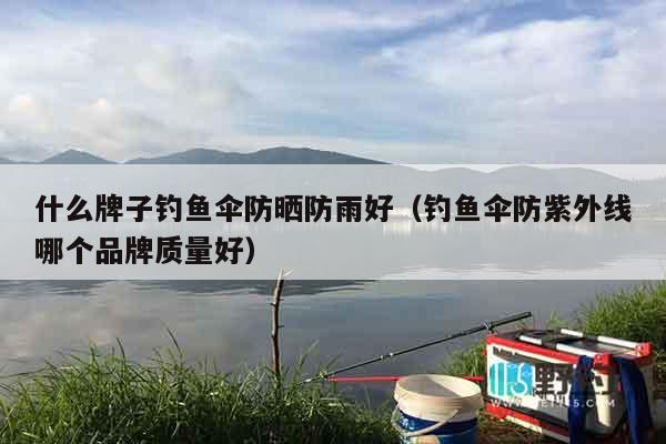 什么牌子钓鱼伞防晒防雨好（钓鱼伞防紫外线哪个品牌质量好）