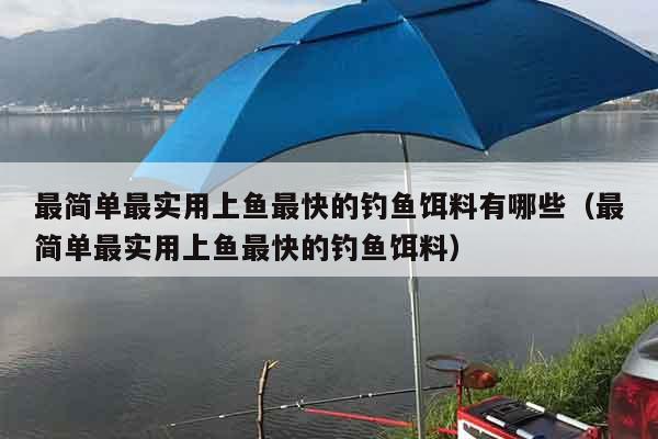 最简单最实用上鱼最快的钓鱼饵料有哪些（最简单最实用上鱼最快的钓鱼饵料）