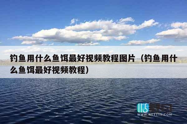 钓鱼用什么鱼饵最好视频教程图片（钓鱼用什么鱼饵最好视频教程）