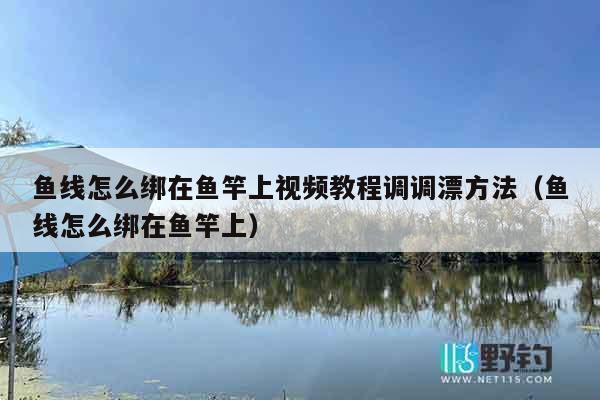 鱼线怎么绑在鱼竿上视频教程调调漂方法（鱼线怎么绑在鱼竿上）