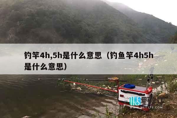 钓竿4h,5h是什么意思（钓鱼竿4h5h是什么意思）