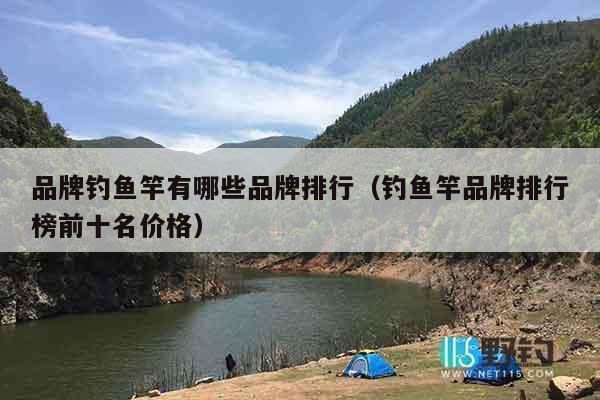 品牌钓鱼竿有哪些品牌排行（钓鱼竿品牌排行榜前十名价格）