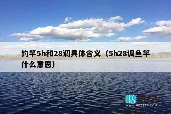 钓竿5h和28调具体含义（5h28调鱼竿什么意思）