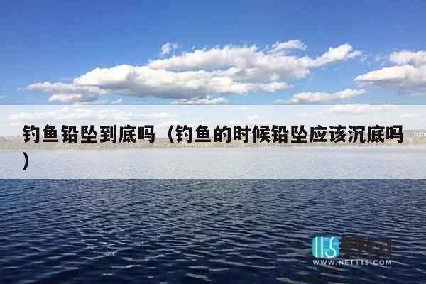 钓鱼铅坠到底吗（钓鱼的时候铅坠应该沉底吗）