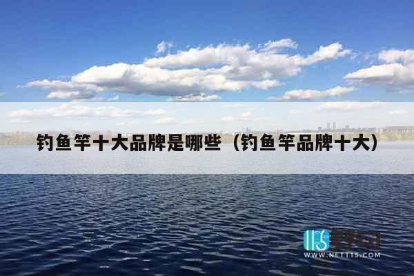 钓鱼竿十大品牌是哪些（钓鱼竿品牌十大）