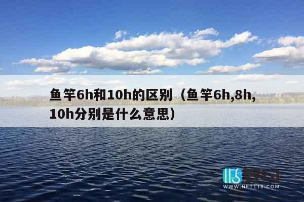 鱼竿6h和10h的区别（鱼竿6h,8h,10h分别是什么意思）