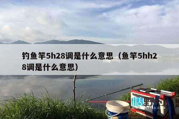 钓鱼竿5h28调是什么意思（鱼竿5hh28调是什么意思）