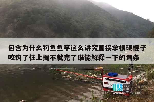 包含为什么钓鱼鱼竿这么讲究直接拿根硬棍子咬钩了往上提不就完了谁能解释一下的词条