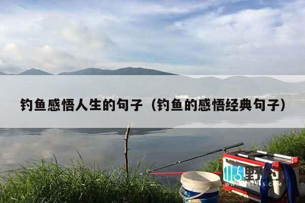 钓鱼感悟人生的句子（钓鱼的感悟经典句子）