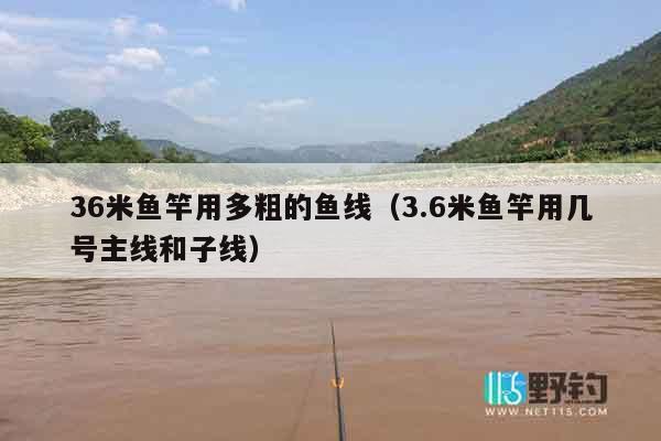 36米鱼竿用多粗的鱼线（3.6米鱼竿用几号主线和子线）