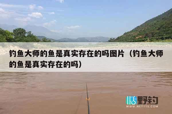 钓鱼大师的鱼是真实存在的吗图片（钓鱼大师的鱼是真实存在的吗）