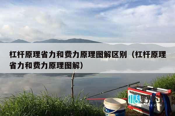 杠杆原理省力和费力原理图解区别（杠杆原理省力和费力原理图解）