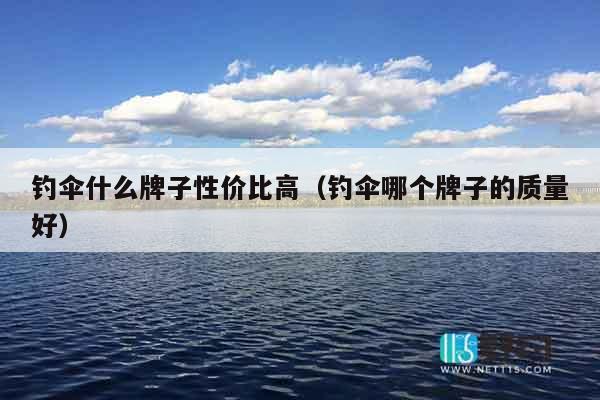 钓伞什么牌子性价比高（钓伞哪个牌子的质量好）