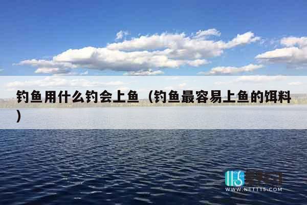 钓鱼用什么钓会上鱼（钓鱼最容易上鱼的饵料）
