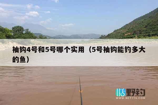 袖钩4号和5号哪个实用（5号袖钩能钓多大的鱼）