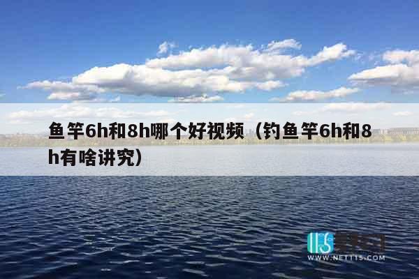 鱼竿6h和8h哪个好视频（钓鱼竿6h和8h有啥讲究）