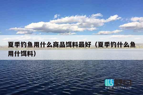 夏季钓鱼用什么商品饵料最好（夏季钓什么鱼用什饵料）