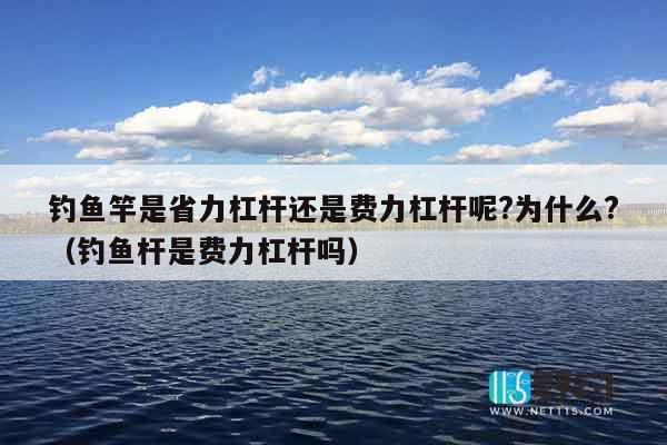 钓鱼竿是省力杠杆还是费力杠杆呢?为什么?（钓鱼杆是费力杠杆吗）