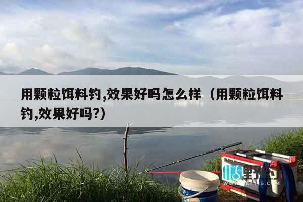 用颗粒饵料钓,效果好吗怎么样（用颗粒饵料钓,效果好吗?）