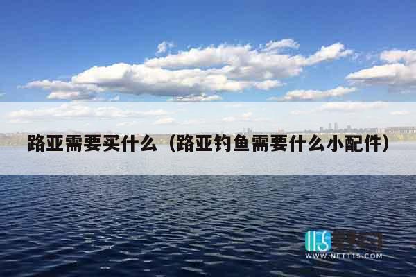 路亚需要买什么（路亚钓鱼需要什么小配件）