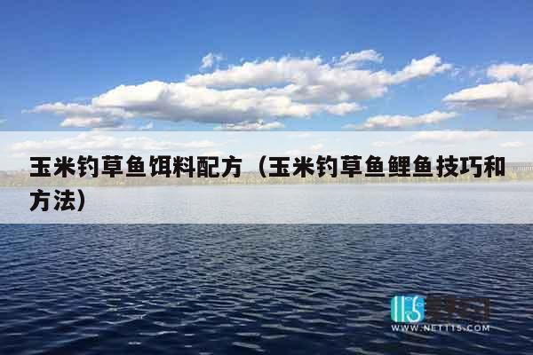 玉米钓草鱼饵料配方（玉米钓草鱼鲤鱼技巧和方法）