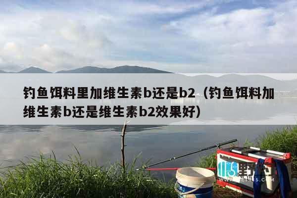 钓鱼饵料里加维生素b还是b2（钓鱼饵料加维生素b还是维生素b2效果好）