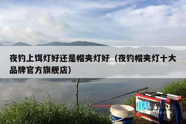夜钓上饵灯好还是帽夹灯好（夜钓帽夹灯十大品牌官方旗舰店）