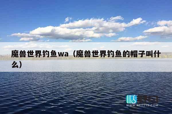 魔兽世界钓鱼wa（魔兽世界钓鱼的帽子叫什么）