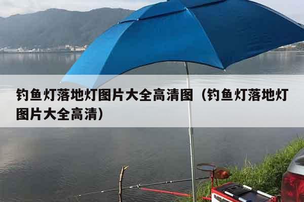 钓鱼灯落地灯图片大全高清图（钓鱼灯落地灯图片大全高清）