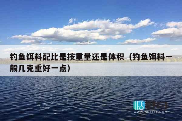 钓鱼饵料配比是按重量还是体积（钓鱼饵料一般几克重好一点）