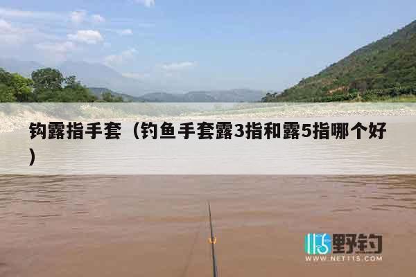 钩露指手套（钓鱼手套露3指和露5指哪个好）