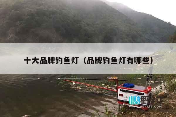 十大品牌钓鱼灯（品牌钓鱼灯有哪些）