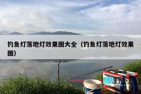 钓鱼灯落地灯效果图大全（钓鱼灯落地灯效果图）